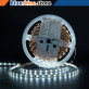 led-nwh-2835-600-fx-eco_copy.webp